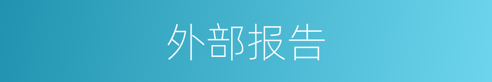 外部报告的同义词
