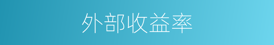 外部收益率的同义词