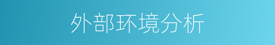 外部环境分析的同义词