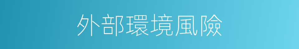 外部環境風險的同義詞