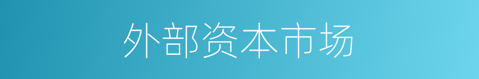 外部资本市场的同义词