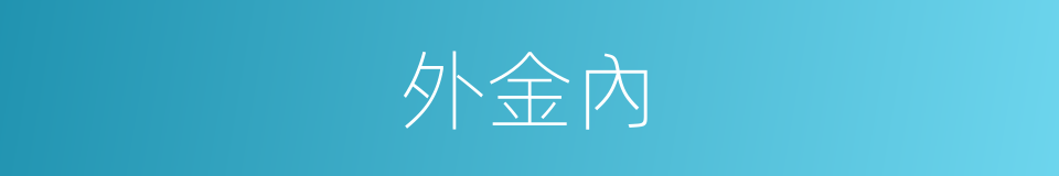 外金內的同義詞