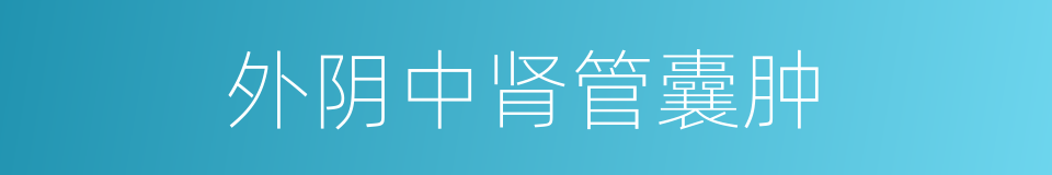 外阴中肾管囊肿的同义词