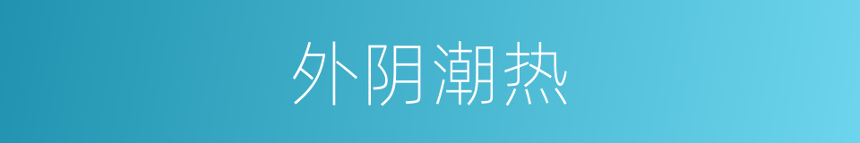 外阴潮热的同义词