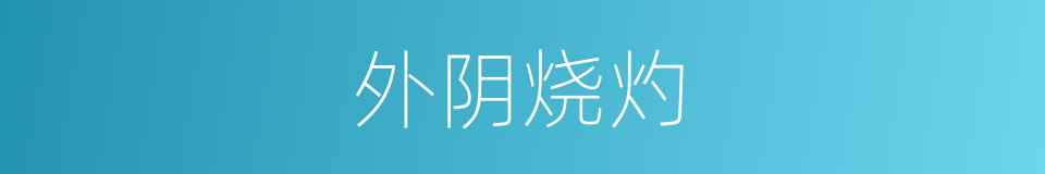 外阴烧灼的同义词