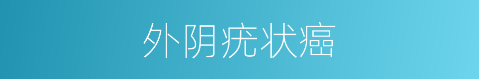 外阴疣状癌的同义词