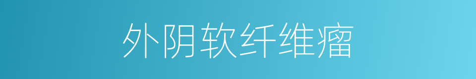 外阴软纤维瘤的同义词