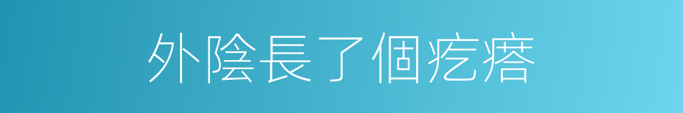 外陰長了個疙瘩的同義詞