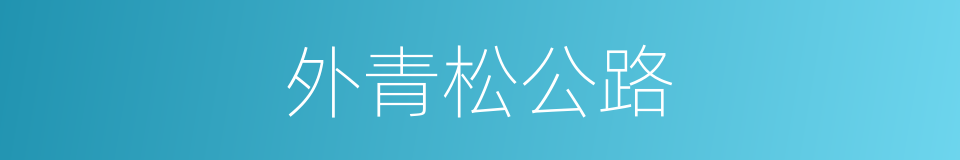 外青松公路的同义词