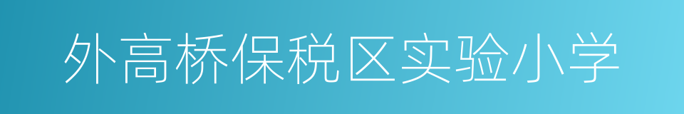 外高桥保税区实验小学的同义词