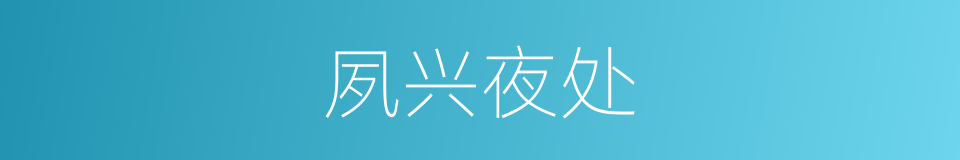 夙兴夜处的意思