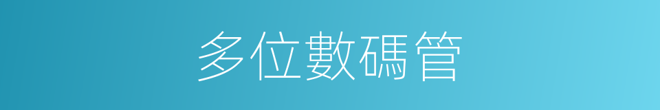 多位數碼管的同義詞