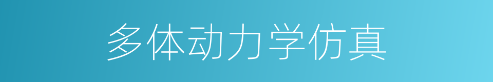 多体动力学仿真的同义词