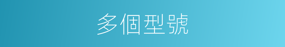 多個型號的同義詞