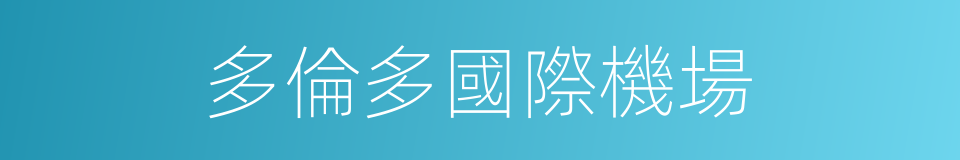 多倫多國際機場的同義詞