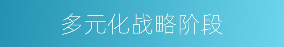 多元化战略阶段的同义词