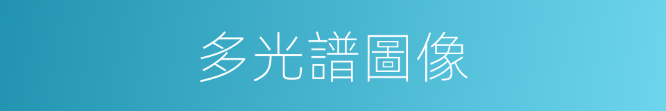 多光譜圖像的同義詞