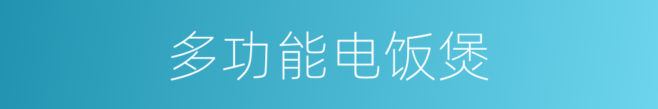 多功能电饭煲的同义词