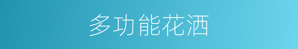 多功能花洒的同义词