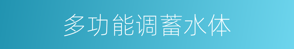 多功能调蓄水体的同义词