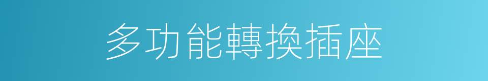 多功能轉換插座的同義詞