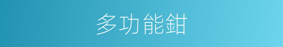 多功能鉗的同義詞