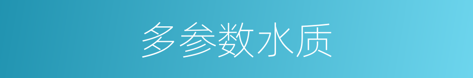 多参数水质的同义词