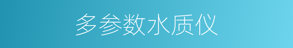 多参数水质仪的同义词