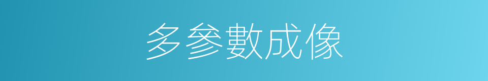 多參數成像的同義詞