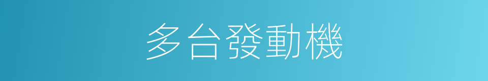 多台發動機的同義詞