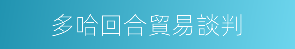 多哈回合貿易談判的同義詞