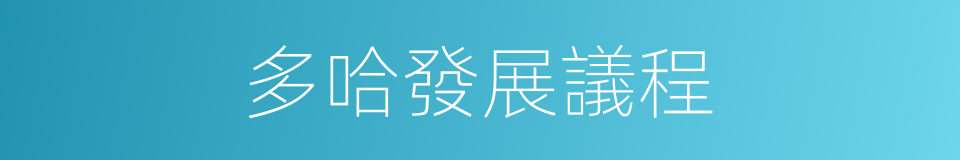 多哈發展議程的同義詞