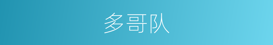 多哥队的同义词