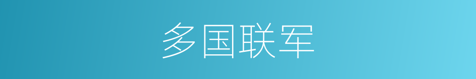 多国联军的同义词