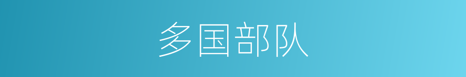 多国部队的同义词