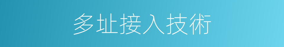 多址接入技術的同義詞