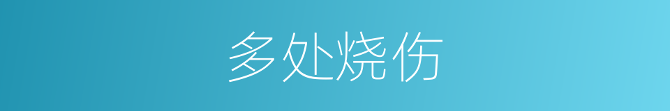 多处烧伤的同义词