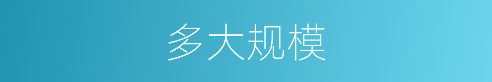 多大规模的同义词