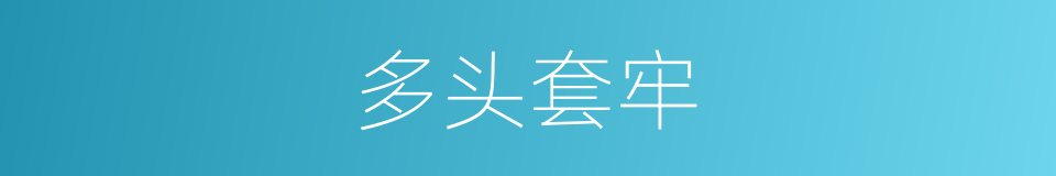 多头套牢的同义词