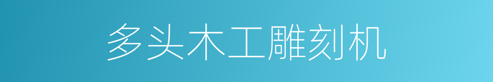 多头木工雕刻机的同义词