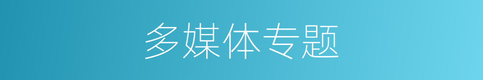 多媒体专题的同义词