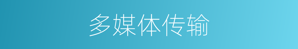 多媒体传输的同义词
