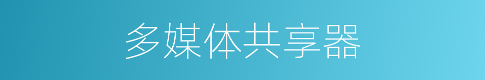 多媒体共享器的同义词