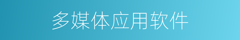 多媒体应用软件的同义词