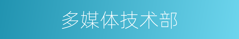 多媒体技术部的同义词