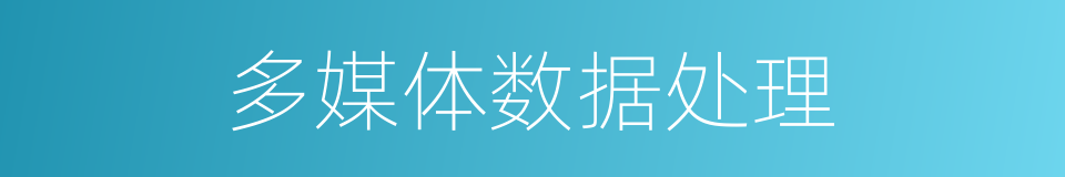 多媒体数据处理的同义词