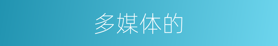 多媒体的的同义词