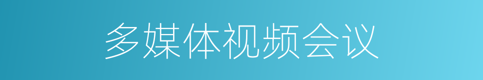 多媒体视频会议的同义词