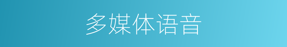 多媒体语音的同义词
