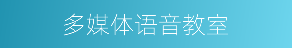 多媒体语音教室的同义词